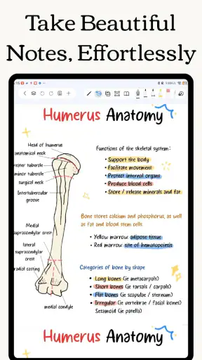 Freenotes: AI Notlar & PDF