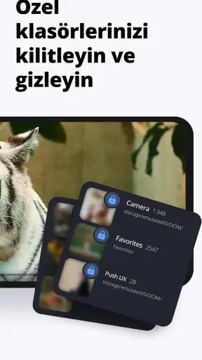 Galeri - Fotoğraf, Albüm