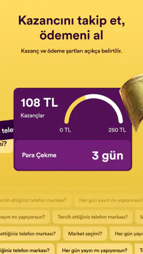 Golden Surveys - Para Kazanın