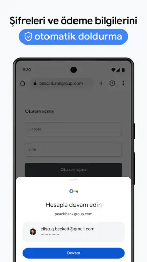 Google Chrome