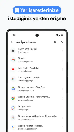 Google Chrome