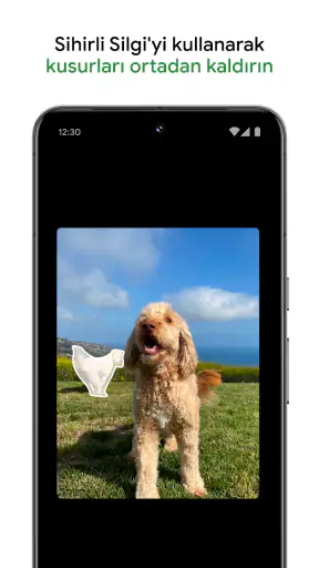 Google Fotoğraflar