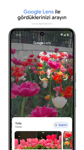 Google Fotoğraflar