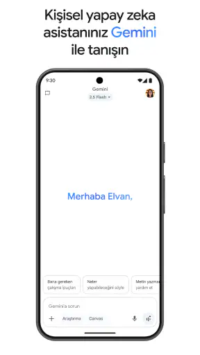 Google Gemini