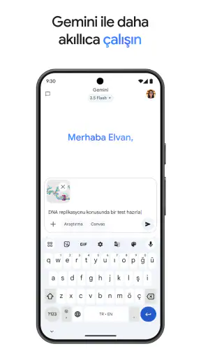 Google Gemini