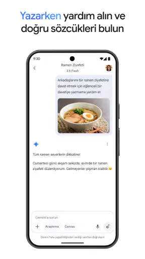 Google Gemini
