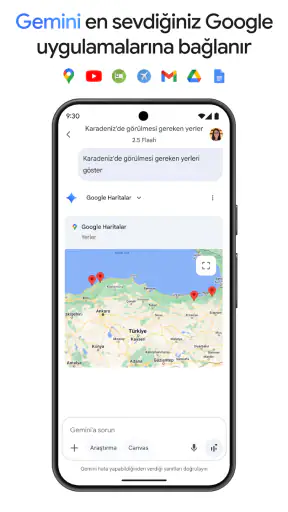 Google Gemini