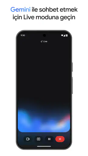 Google Gemini