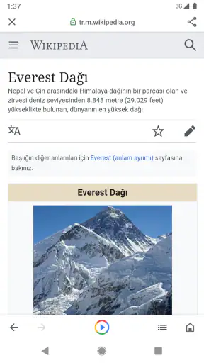 Google Go