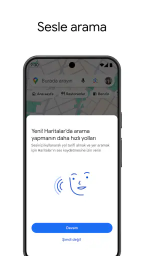 Google Haritalar