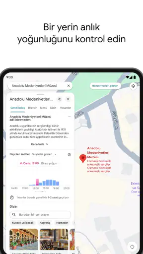 Google Haritalar