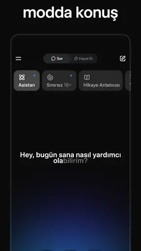Grok - Yapay Zeka Asistanı