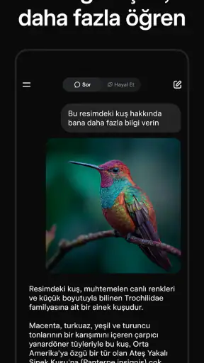 Grok - Yapay Zeka Asistanı