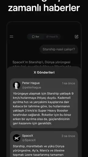 Grok - Yapay Zeka Asistanı