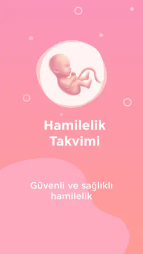 Gün Gün Hamilelik Takibi BI