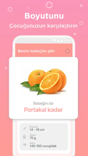 Gün Gün Hamilelik Takibi BI