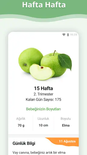 Hamilelik