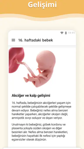 Hamilelik