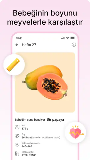 Hamilelik Takvimi