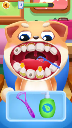 Happy Zoo Dentist: Dental Care