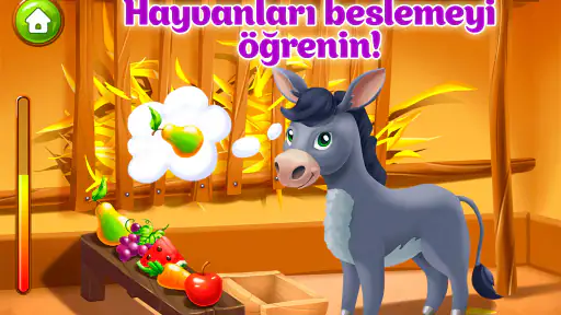 Hayvan Çiftliği Çocuk Oyunları