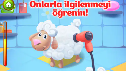 Hayvan Çiftliği Çocuk Oyunları