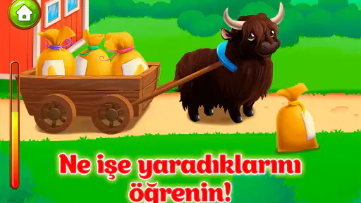 Hayvan Çiftliği Çocuk Oyunları
