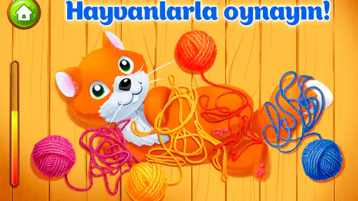 Hayvan Çiftliği Çocuk Oyunları