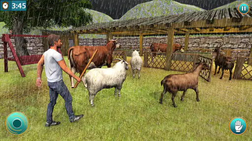 hayvan çiftliği sim oyunları