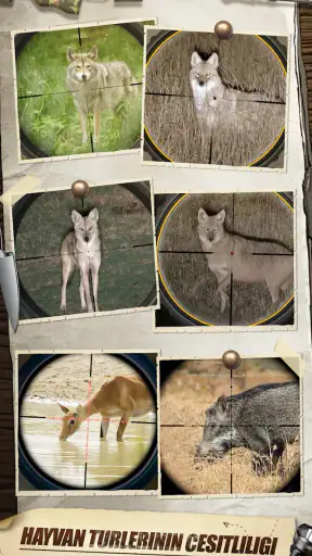 Hunting Sniper