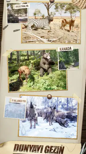 Hunting Sniper