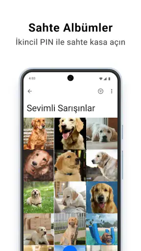 Keepsafe Gizli Fotoğraf Kasası