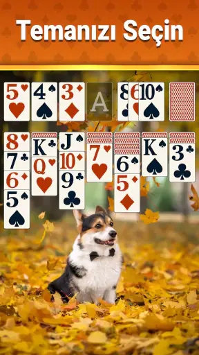 Klasik Solitaire - 2026