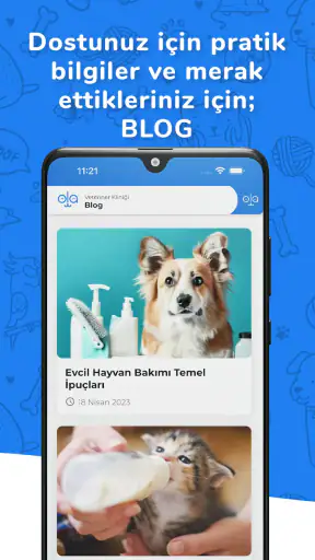 Kolayvet