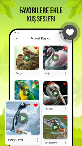 Kuş Sesleri