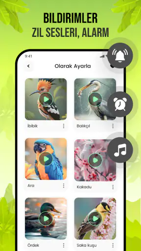 Kuş Sesleri