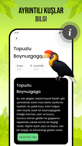 Kuş Sesleri