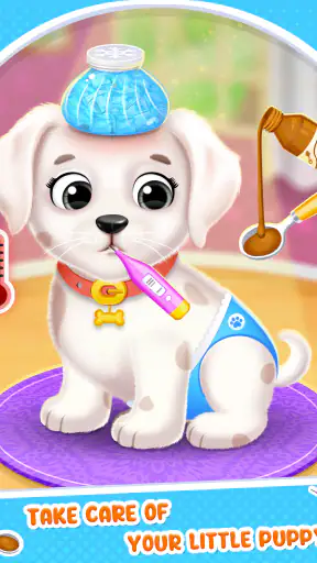 Yavru Köpek Spa & Salon