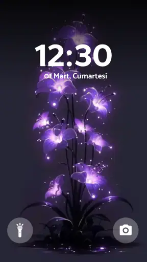 Live Wallpaper - Wallpapers 4K