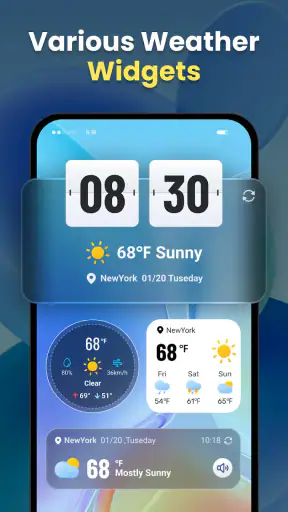 Live Weather: Daily Forecast