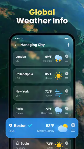 Live Weather: Daily Forecast
