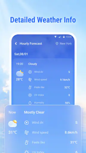 Live Weather: Forecast & Radar