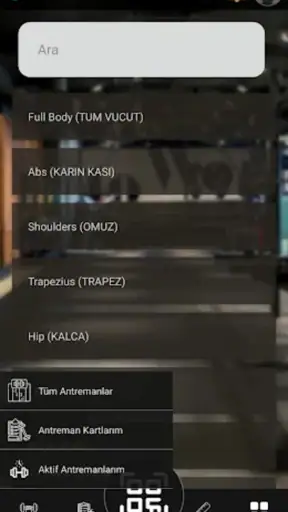 Maksigym