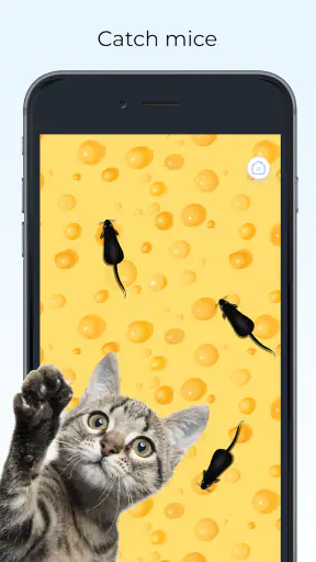 Meow - Kediler Için Oyunlar