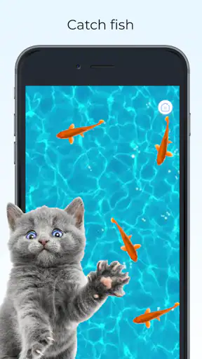 Meow - Kediler Için Oyunlar