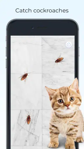 Meow - Kediler Için Oyunlar