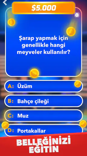 Milyoner - Türkçe Test Oyunu