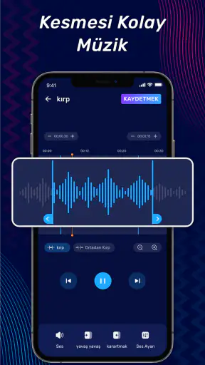 Müzik Editörü, Ses Editörü