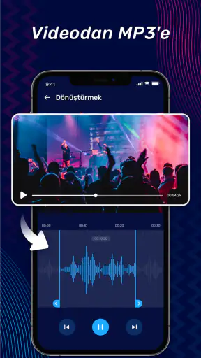 Müzik Editörü, Ses Editörü