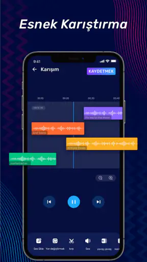 Müzik Editörü, Ses Editörü